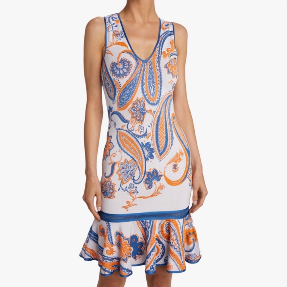 Roberto Cavalli Dress